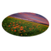 Flowers Wildflower Field Snowcapped Mountains Snijplank (Hoek)