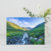 Flowers Wildflowers in Colorado Bedankkaart (Staand voorkant)