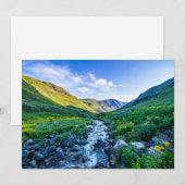 Flowers Wildflowers in Colorado Bedankkaart (Voorkant / Achterkant)