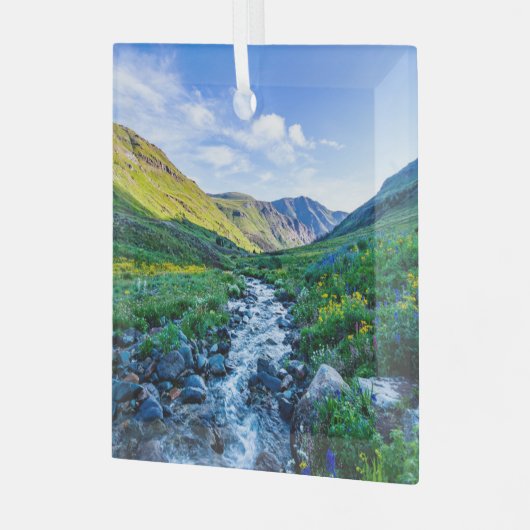 Flowers Wildflowers in Colorado Glas Ornament (Voorkant links)