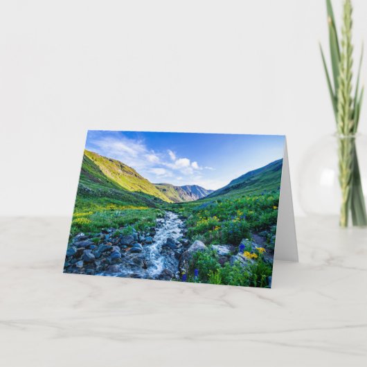 Flowers Wildflowers in Colorado Kaart (Voorkant)