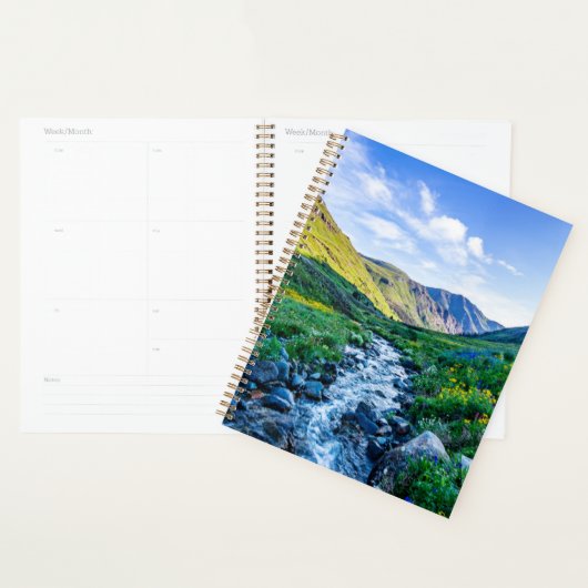Flowers Wildflowers in Colorado Planner (Display)