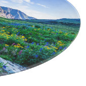 Flowers Wildflowers in Colorado Snijplank (Hoek)