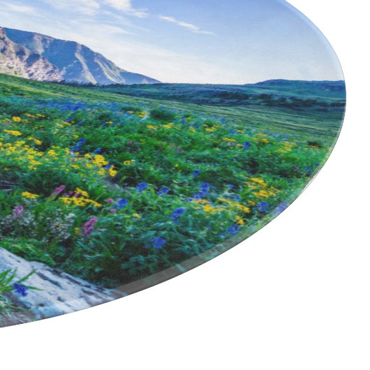 Flowers Wildflowers in Colorado Snijplank (Hoek)