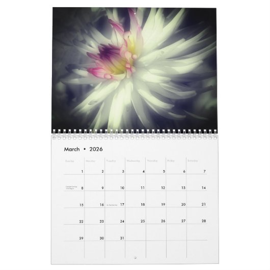 Flowers With A Touch Of Color  Kalender (Mar 2026)