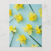 Flowers | Yellow Daffodils Briefkaart (Voorkant)