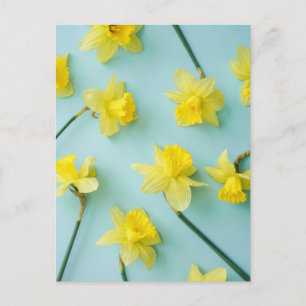 Flowers Yellow Daffodils Briefkaart