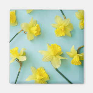 Flowers   Yellow Daffodils Magneet