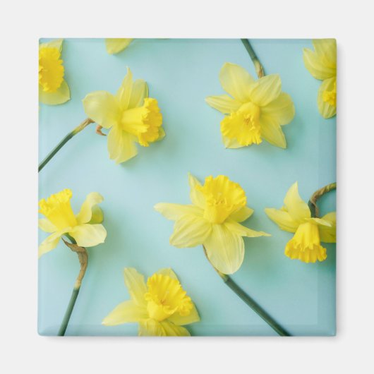 Flowers | Yellow Daffodils Magneet (Voorkant)