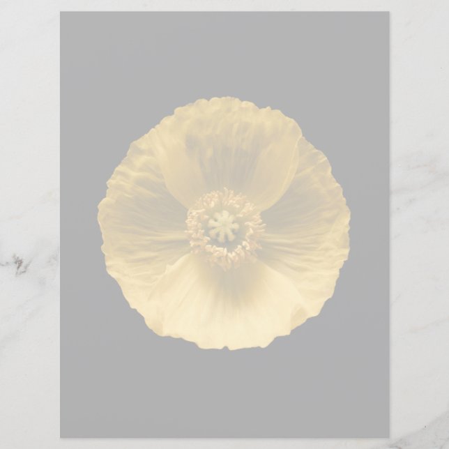 Flowers | Yellow Poppy (Voorkant)