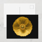 Flowers | Yellow Poppy Briefkaart (Voorkant / Achterkant)