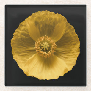 Flowers Yellow Poppy Glazen Onderzetter