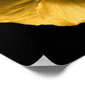 Flowers | Yellow Poppy Poster (Hoek)