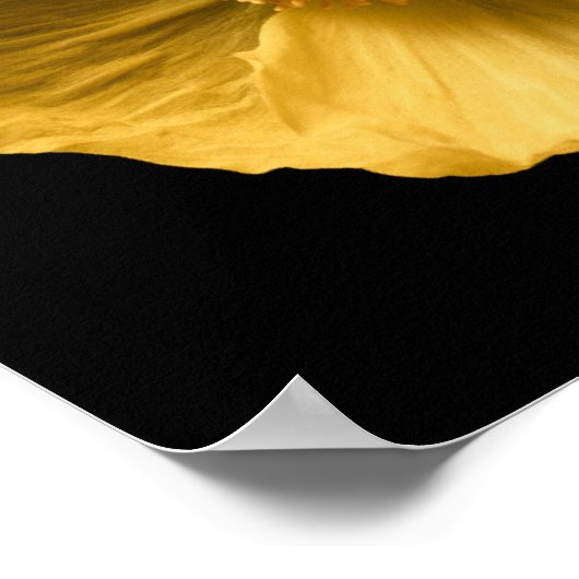 Flowers | Yellow Poppy Poster (Hoek)