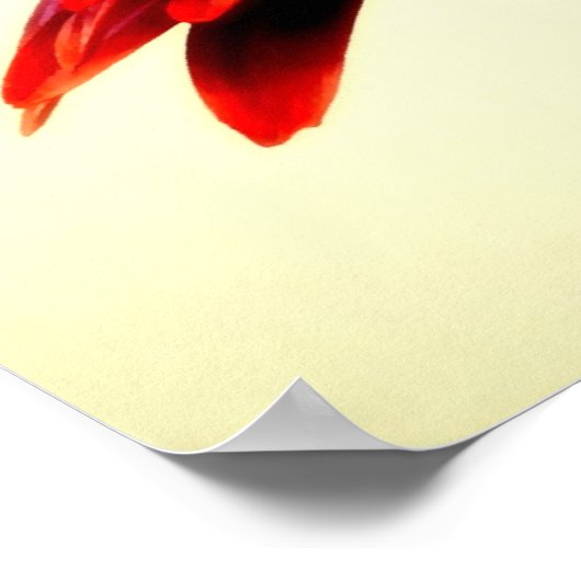 FLOWERSERIES-007 POSTER (Hoek)