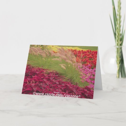 FlowersHeel kleurrijk1, ik hou van je! Kaart (Achterkant)