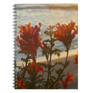 Flowery Beach Sunset Notitieboek