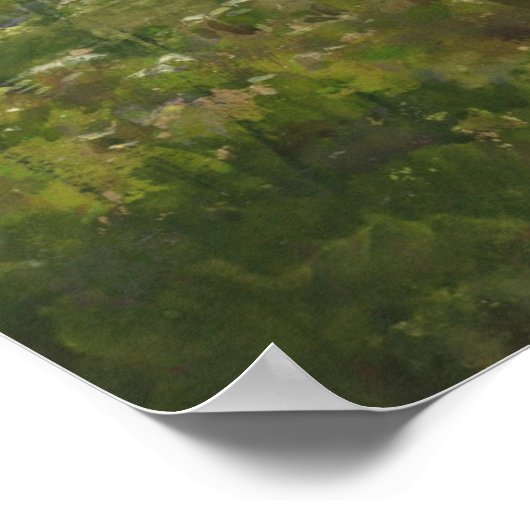 Flowery Meadow William Henry Holmes Waterverf Poster (Hoek)