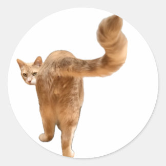 Floyd Butt Sticker - met gezicht!