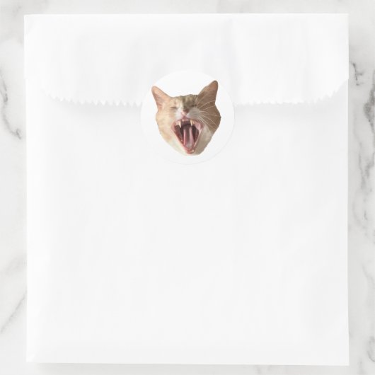 Floyd Sticker - Met Mouth Open! (Tas)