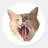 Floyd Sticker - Met Mouth Open! (Voorkant)