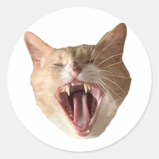 Floyd Sticker - Met Mouth Open!