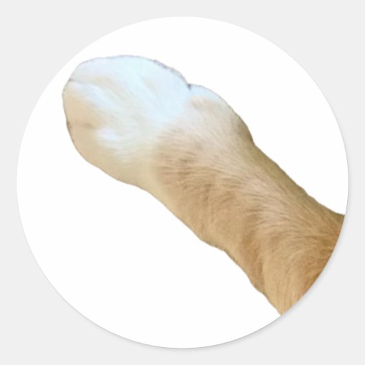 Floyd Sticker - Paw! (Voorkant)