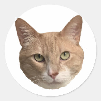 Floyd sticker! ronde sticker