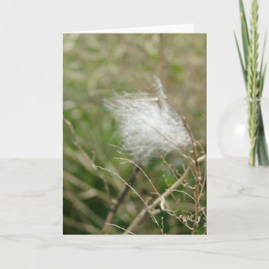 Fluff all-gelegenheden kaart (Voorkant)