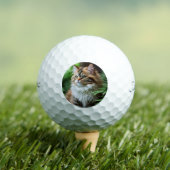 Fluff en knuffels: de mollige Perzische kat Golfballen (Insitu Shirt)