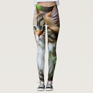 Fluff en knuffels: de mollige Perzische kat Leggings