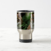 Fluff en knuffels: de mollige Perzische kat Reisbeker (Center)