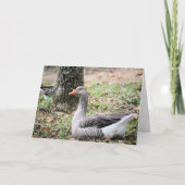 Fluff Feestdagen Kaart (Voorkant)