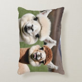 Fluff & Friendship Accent Kussen (Voorkant(Verticaal))