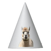 Fluff & Friendship Feesthoedjes (Voorkant)