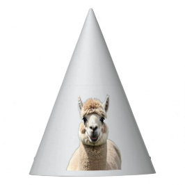 Fluff & Friendship Feesthoedjes