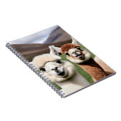 Fluff & Friendship Notitieboek (Rechterzijde)