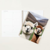 Fluff & Friendship Planner (Display)