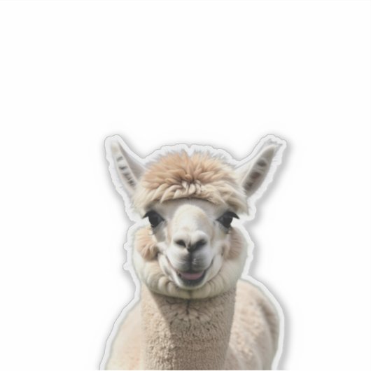 Fluff & Friendship Sticker (Voorkant)