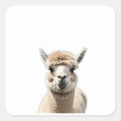 Fluff & Friendship Vierkante Sticker (Voorkant)