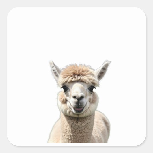 Fluff & Friendship Vierkante Sticker (Voorkant)