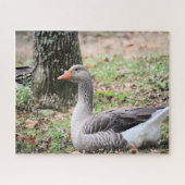 Fluff Legpuzzel (Horizontaal)