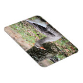 Fluff Magneet (Rechterzijde)