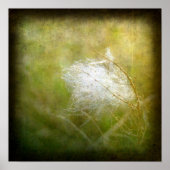 Fluff Poster (Voorkant)