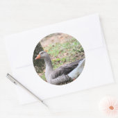 Fluff Ronde Sticker (Envelop)