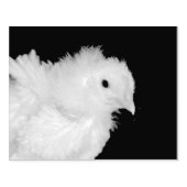 Fluff Rubberstempel (Afrduk)