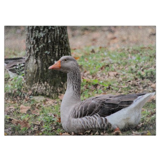 Fluff Snijplank (Voorkant)