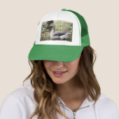 Fluff Trucker Pet (In situ)