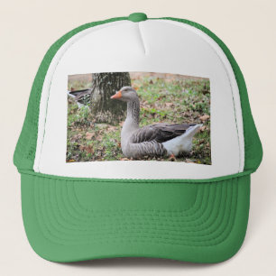 Fluff Trucker Pet
