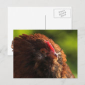 FluffaDerp Briefkaart (Voorkant / Achterkant)